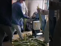 Fiber peeling machine