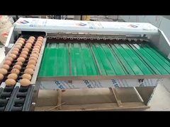egg grader